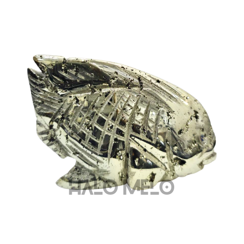 PYRITE FISH #012