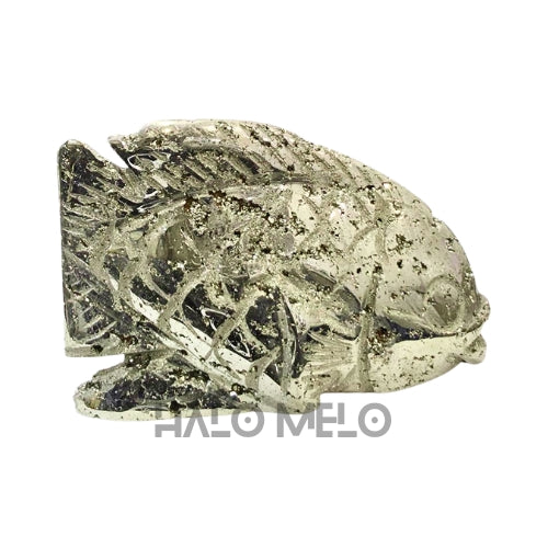 PYRITE FISH #023