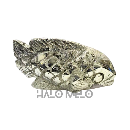 PYRITE FISH #024