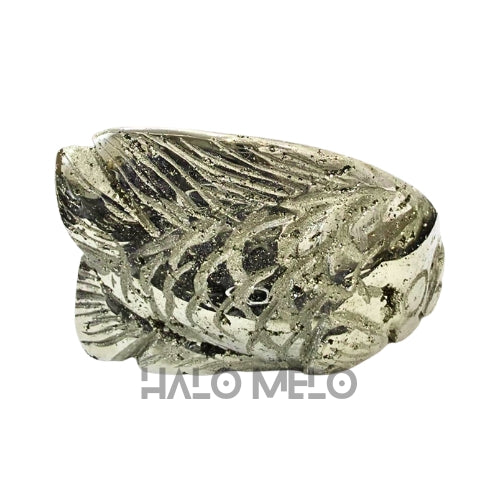 PYRITE FISH #028