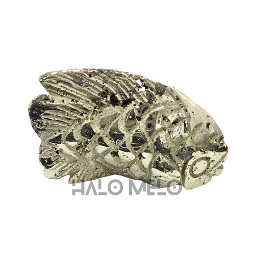 PYRITE FISH #029