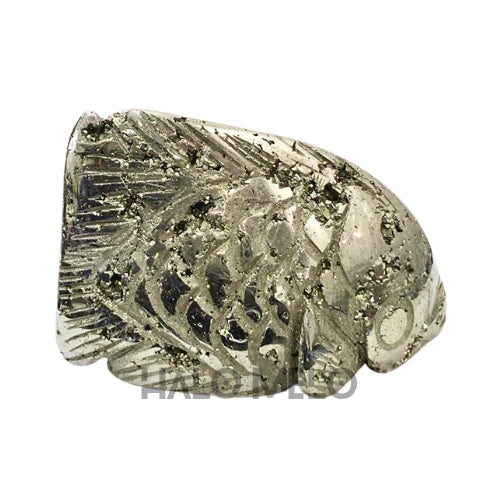 PYRITE FISH #030