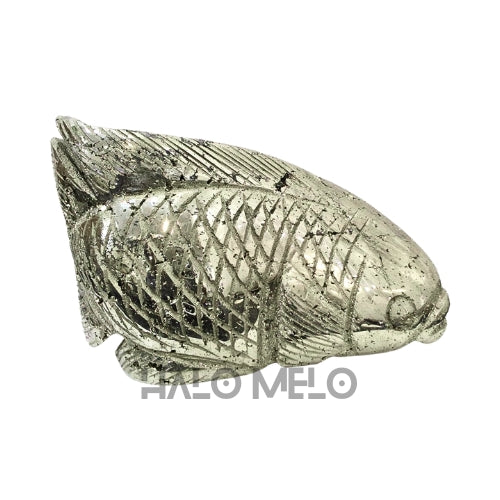 PYRITE FISH #031