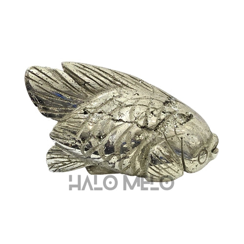 PYRITE FISH #032