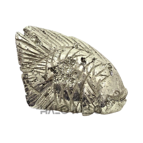 PYRITE FISH #033