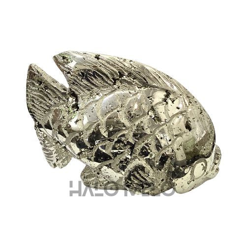 PYRITE FISH #036