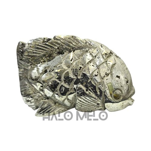 PYRITE FISH #039