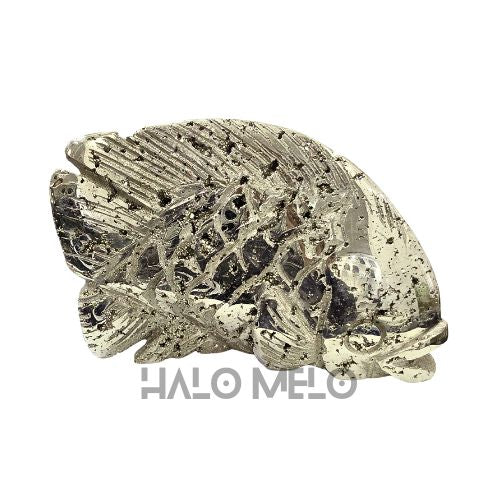 PYRITE FISH #040