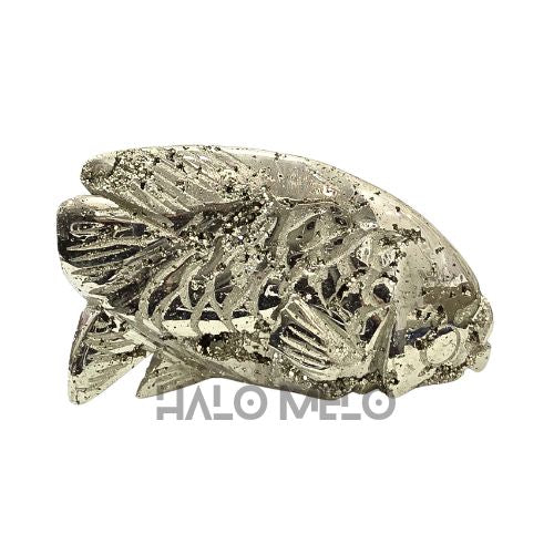 PYRITE FISH #043