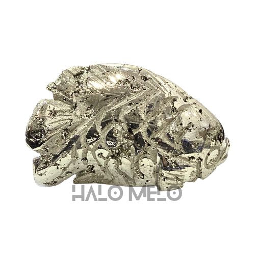PYRITE FISH #045