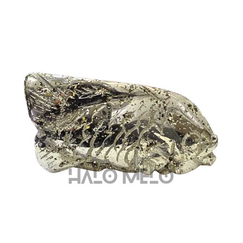 PYRITE FISH #046