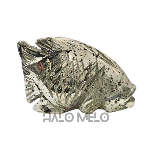 PYRITE FISH #047