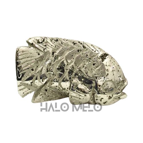 PYRITE FISH #048
