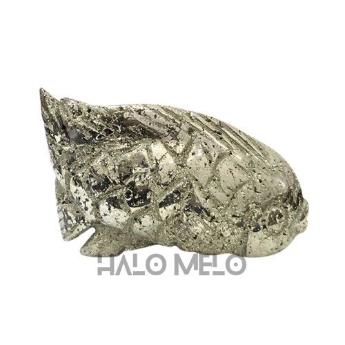 PYRITE FISH #049