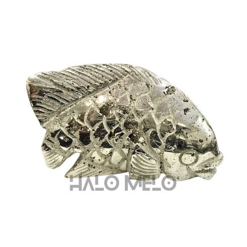 PYRITE FISH #052