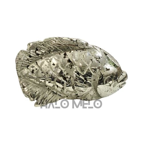 PYRITE FISH #056