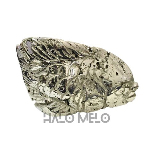 PYRITE FISH #057