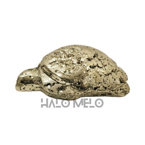 PYRITE TURTLE #005