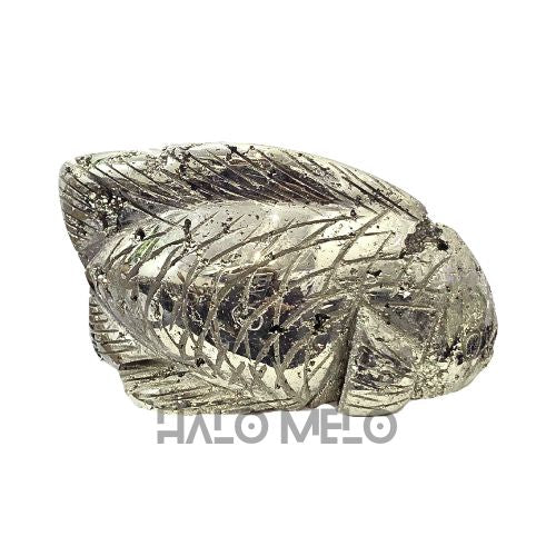 PYRITE FISH #066