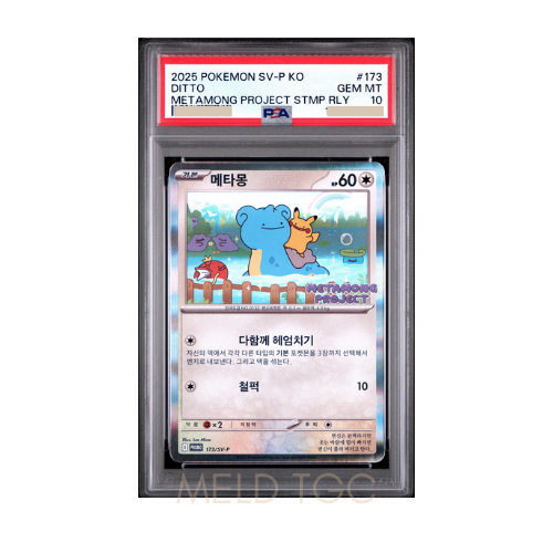 #173 PSA10 Ditto P [SV-P 173] [KR] (Pokemon Town 2025 with Lotte)