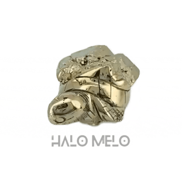PYRITE TURTLE #010