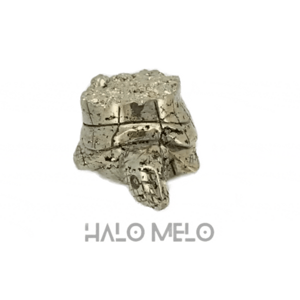 PYRITE TURTLE #011